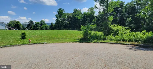 a view of a field with plants and trees