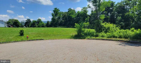 a view of a field with plants and trees