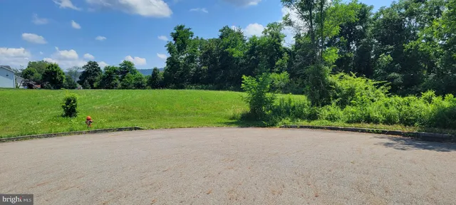 a view of a field with plants and trees