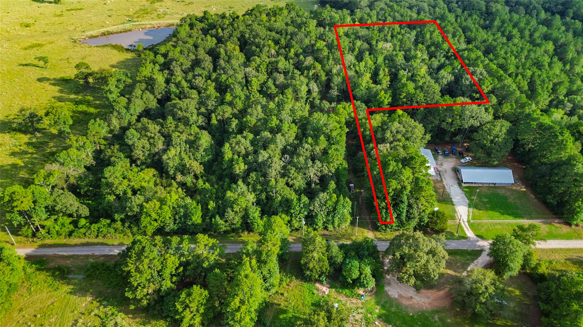 304 Hardy Bottom Road New Waverly, TX 77358 - Photo 2 of 17 Gallery Image 2