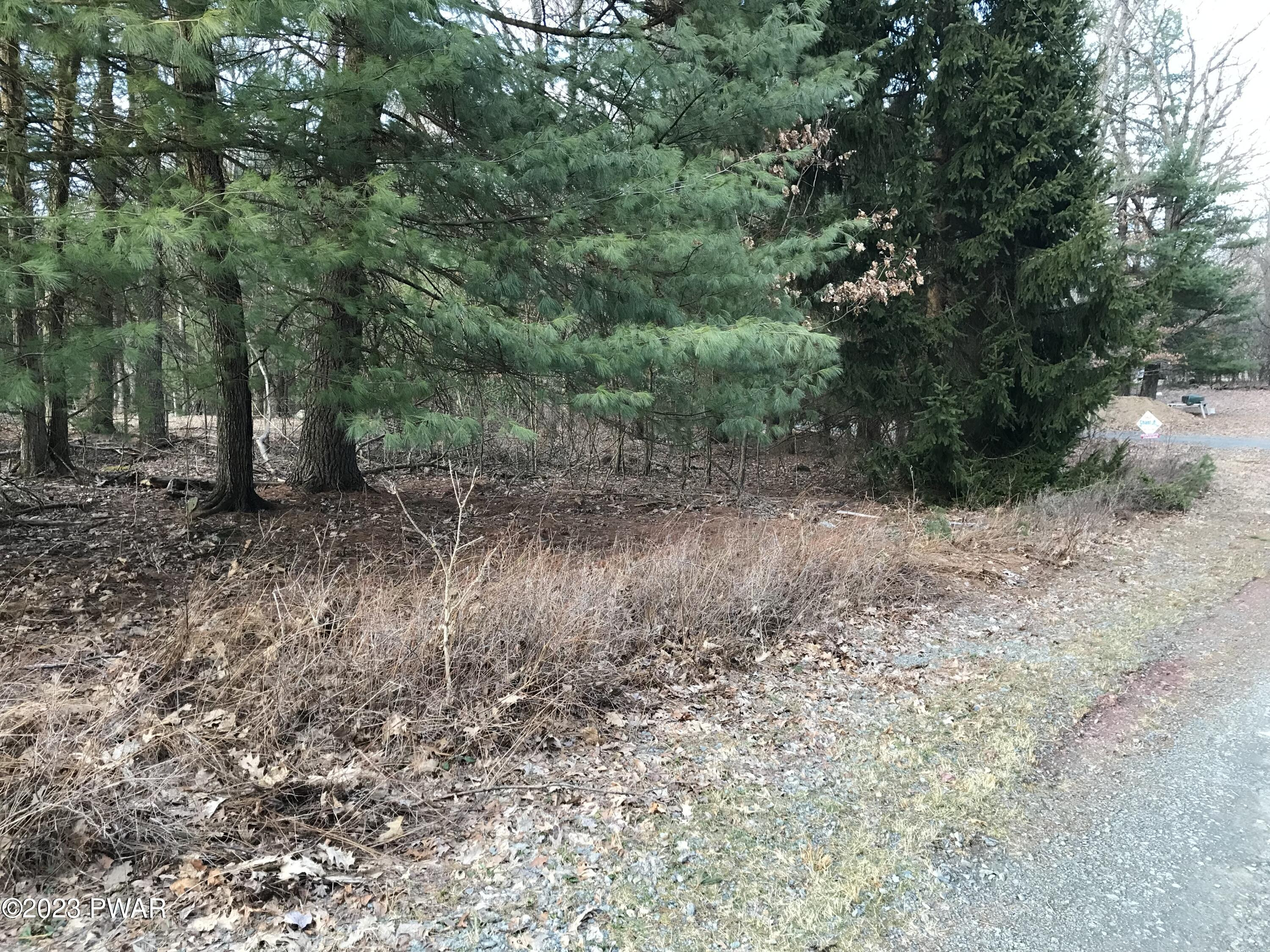 21 Coyote Ridge Hawley, PA 18428 - Photo 3 of 10