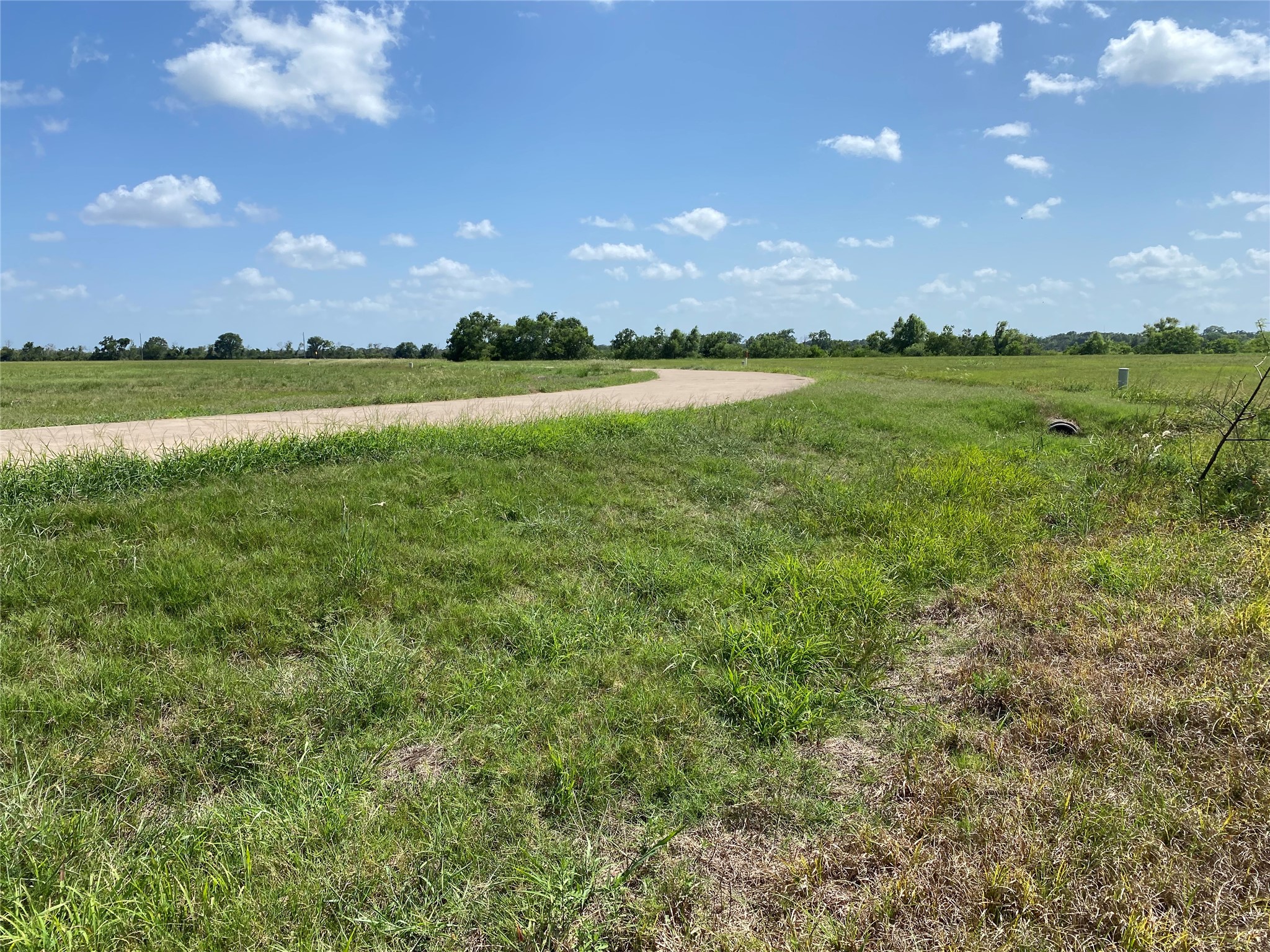 504 Brahman Trail Angleton, TX 77515 - Photo 6 of 8 a view of a golf course with a yard