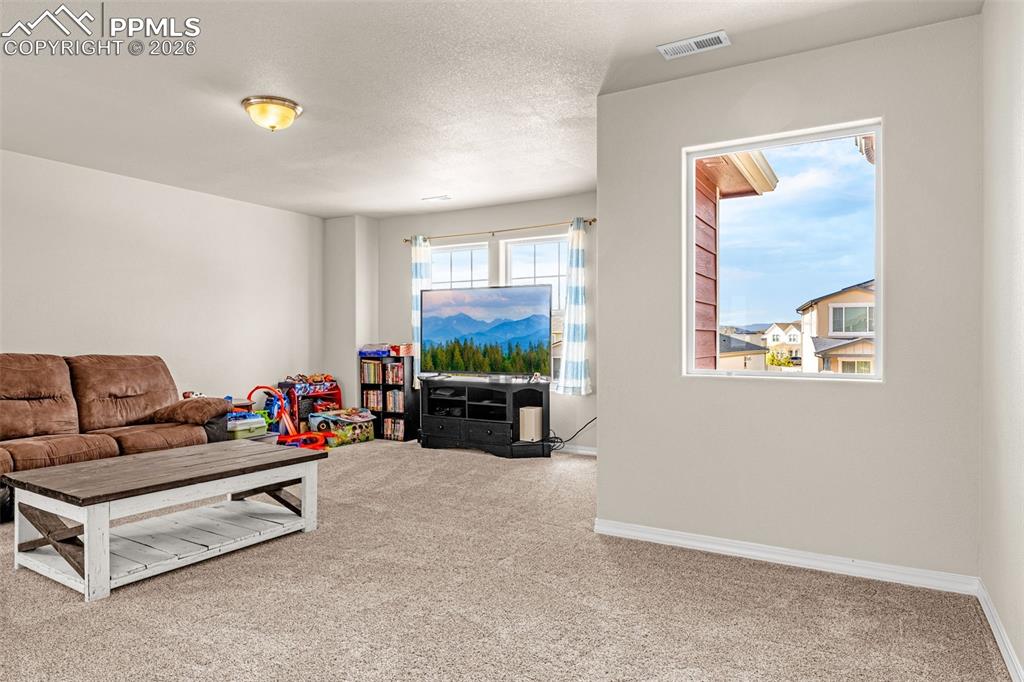 9074 Vanderwood Road Colorado Springs, CO 80908 - Photo 20 of 36