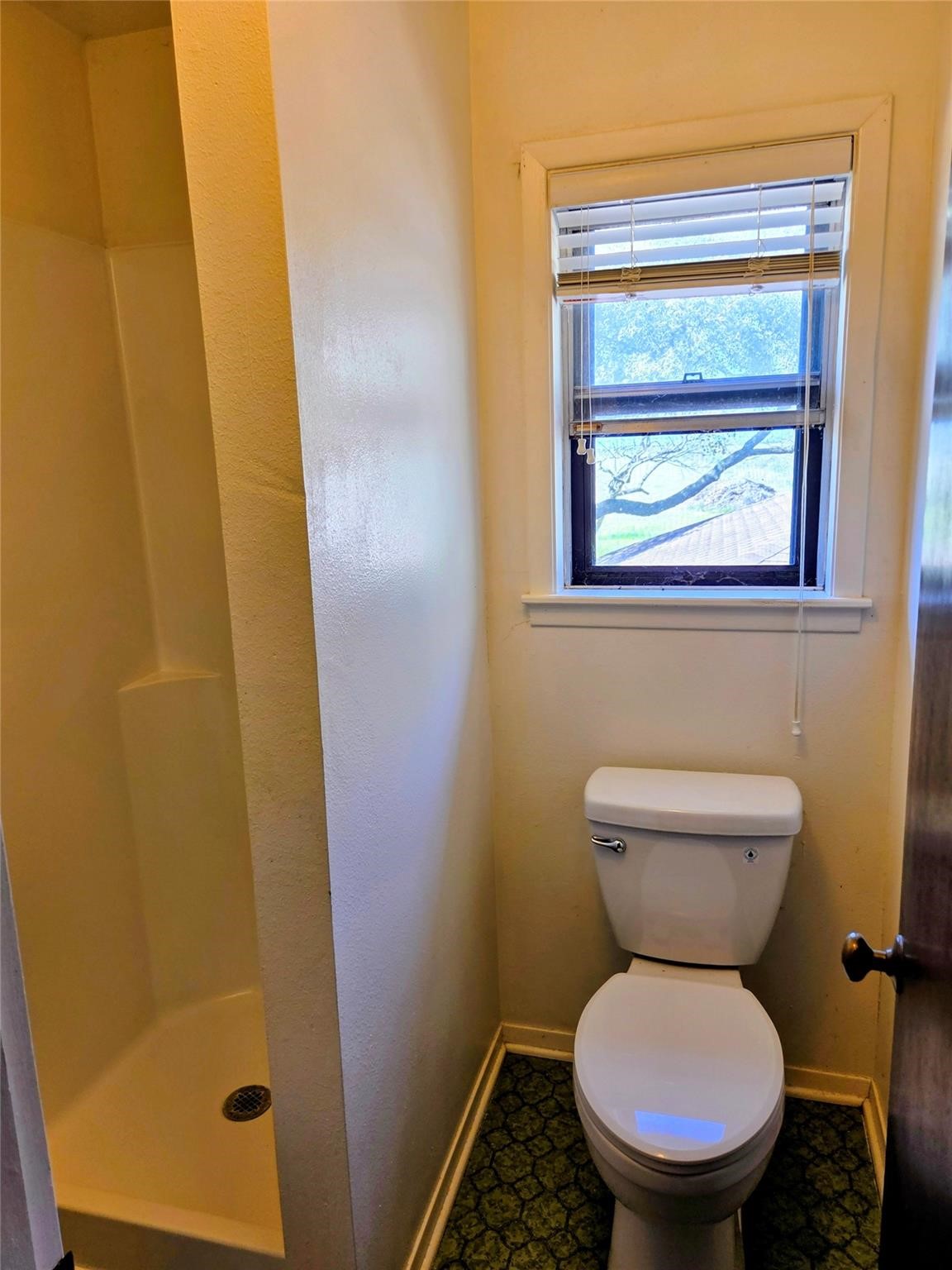4779 Mixville Road Sealy, TX 77474 - Photo 23 of 35 Primary shower