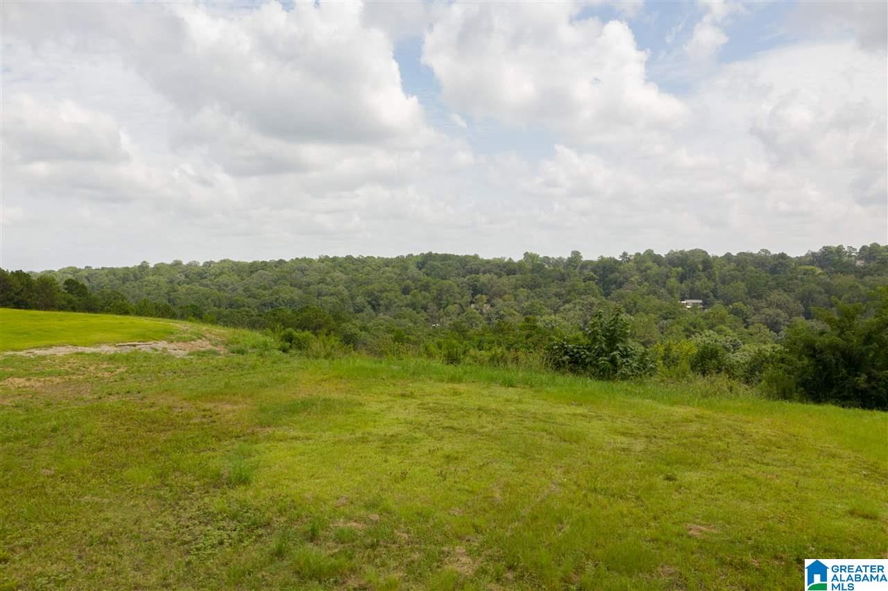 2615 Dolly Ridge Road, Unit 2615 Birmingham, AL 35243 - Photo 5 of 10