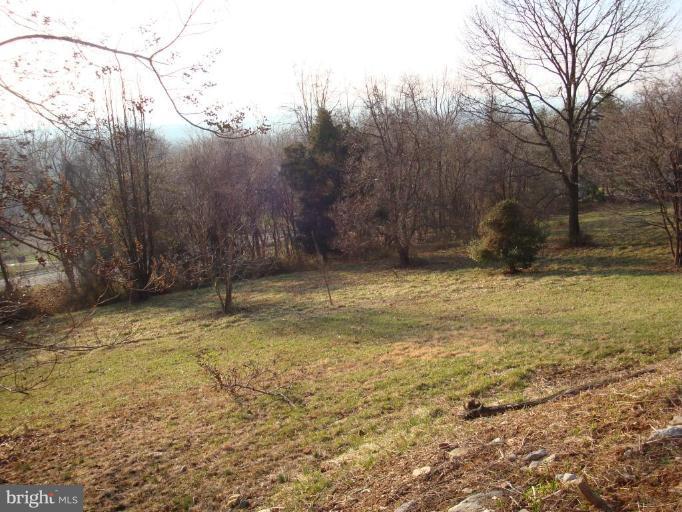 3736 Point Of Rocks Road Jefferson, MD 21755 - Photo 26 of 27 Wooded View / Acreage 3