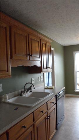3736 Calista Road Cross Plains, TN 37049 - Photo 3 of 14 Kitchen with Lots of Cabinets