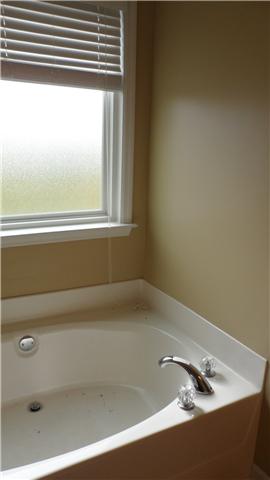 3736 Calista Road Cross Plains, TN 37049 - Photo 10 of 14 Separate Tub in Master Bathroom