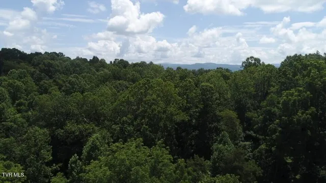 $48,400 | 0 Pocahontas Trail, Meadowview, VA 24361