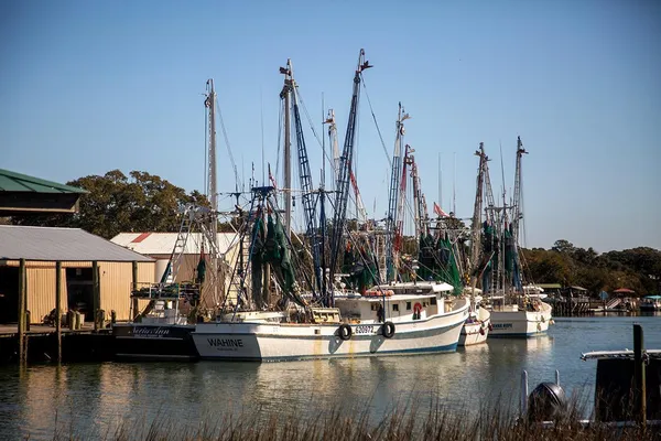 $1,600,000 | 715 Ramshorn Lane, McClellanville, SC 29458