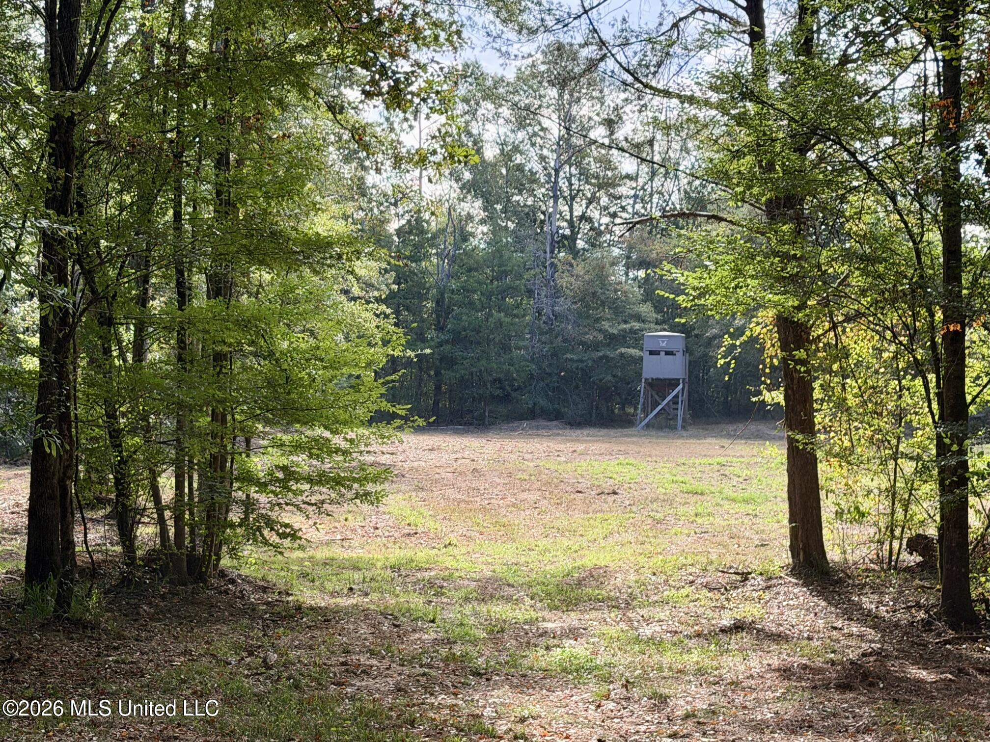 11330 Ms-429 Carthage, MS 39051 - Photo 115 of 128 IMG_1425