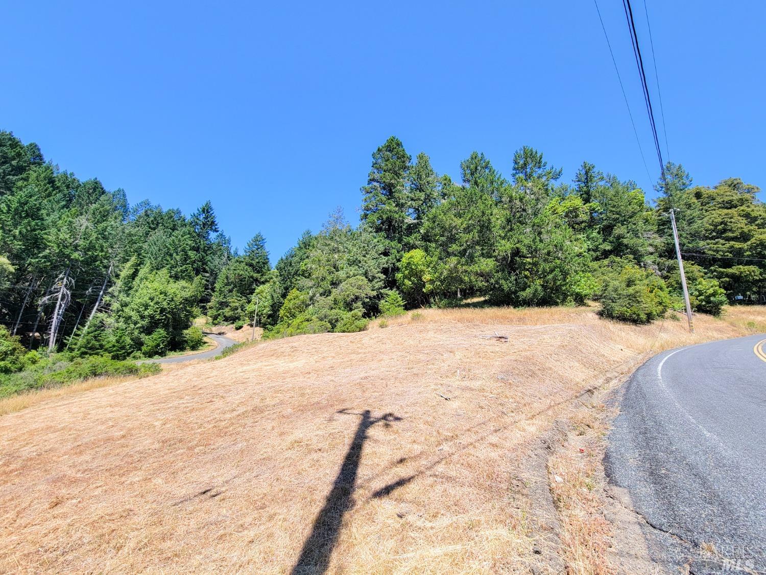 2891 Primrose Drive Willits, CA 95490 - Photo 12 of 15 a view of a road with a yard