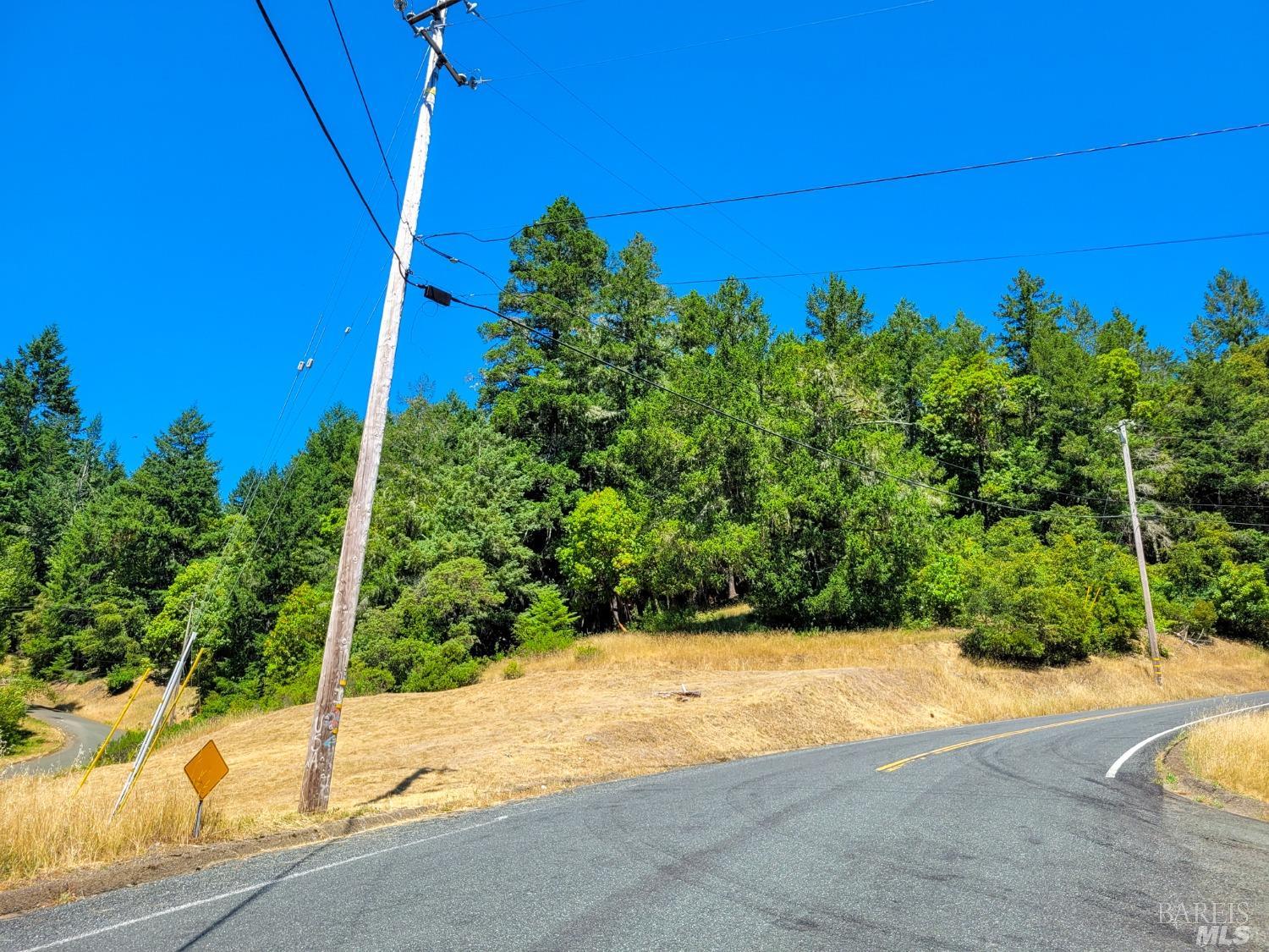 2891 Primrose Drive Willits, CA 95490 - Photo 14 of 15 a view of a backyard