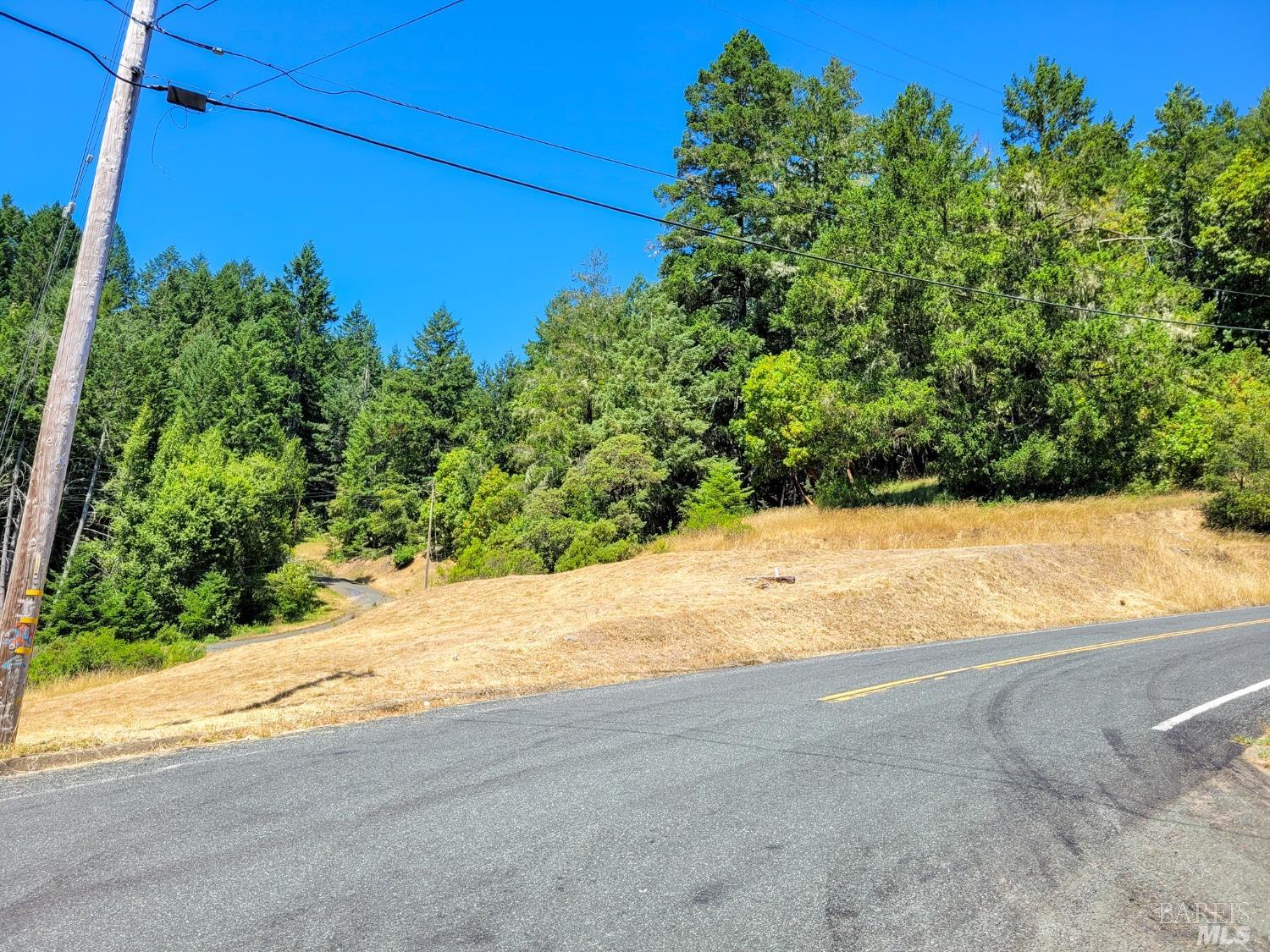 2891 Primrose Drive Willits, CA 95490 - Photo 15 of 15 a view of a backyard of the house