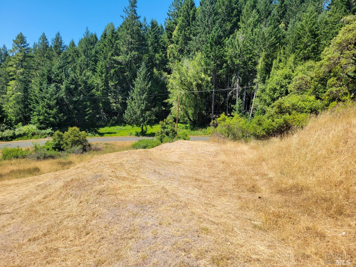 2891 Primrose Drive Willits, CA 95490 - Photo 3 of 15 a view of a yard with plants and trees beside of it