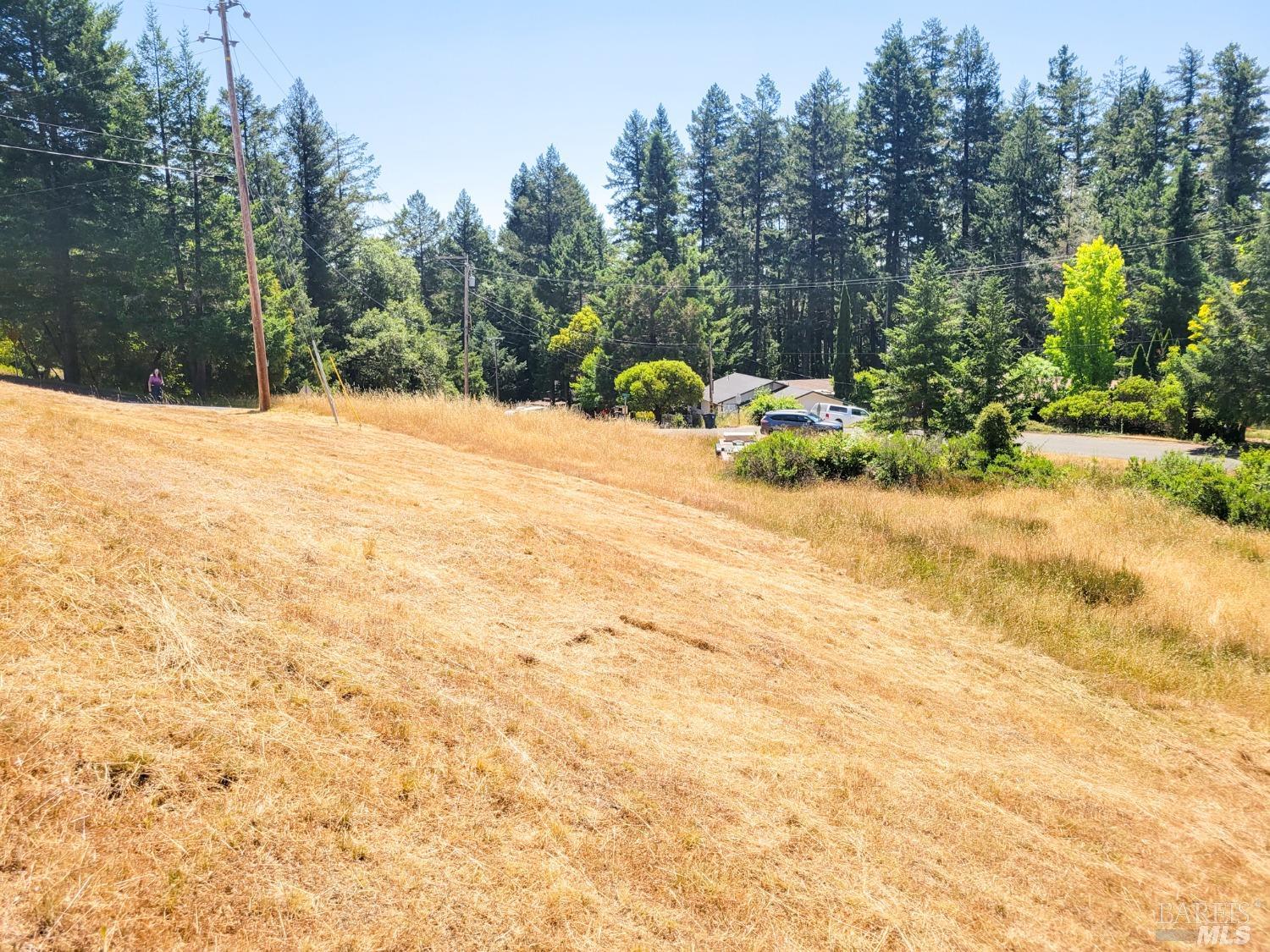 2891 Primrose Drive Willits, CA 95490 - Photo 5 of 15 a view of a yard with plants and trees