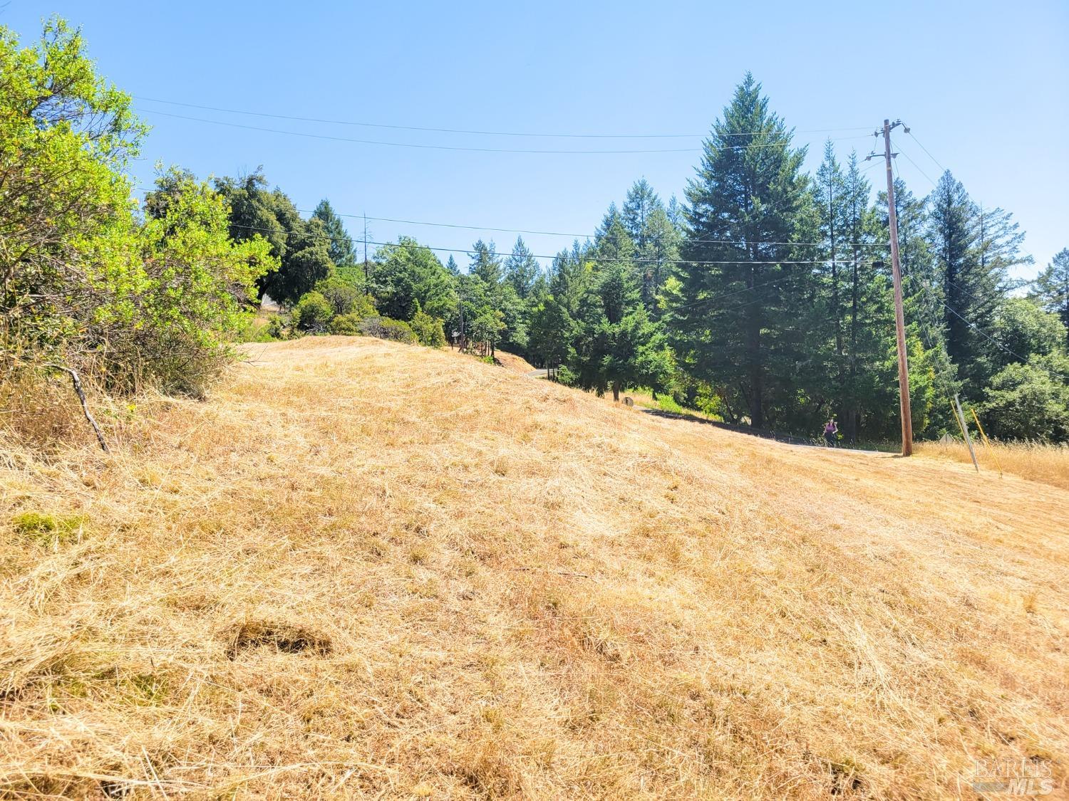 2891 Primrose Drive Willits, CA 95490 - Photo 6 of 15 a view of a yard with trees
