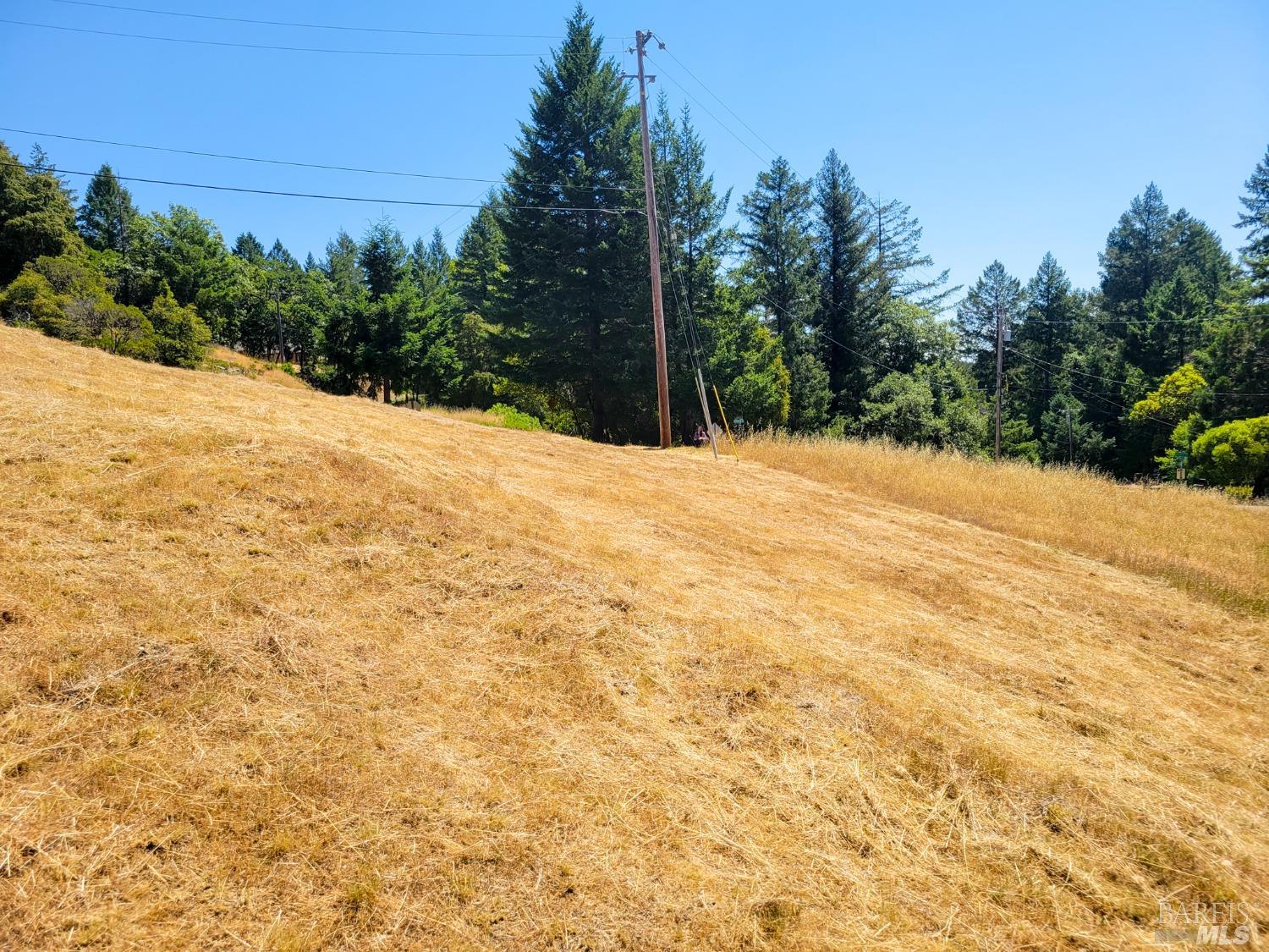 2891 Primrose Drive Willits, CA 95490 - Photo 7 of 15 a view of outdoor space and yard
