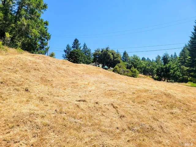 a view of a yard with trees