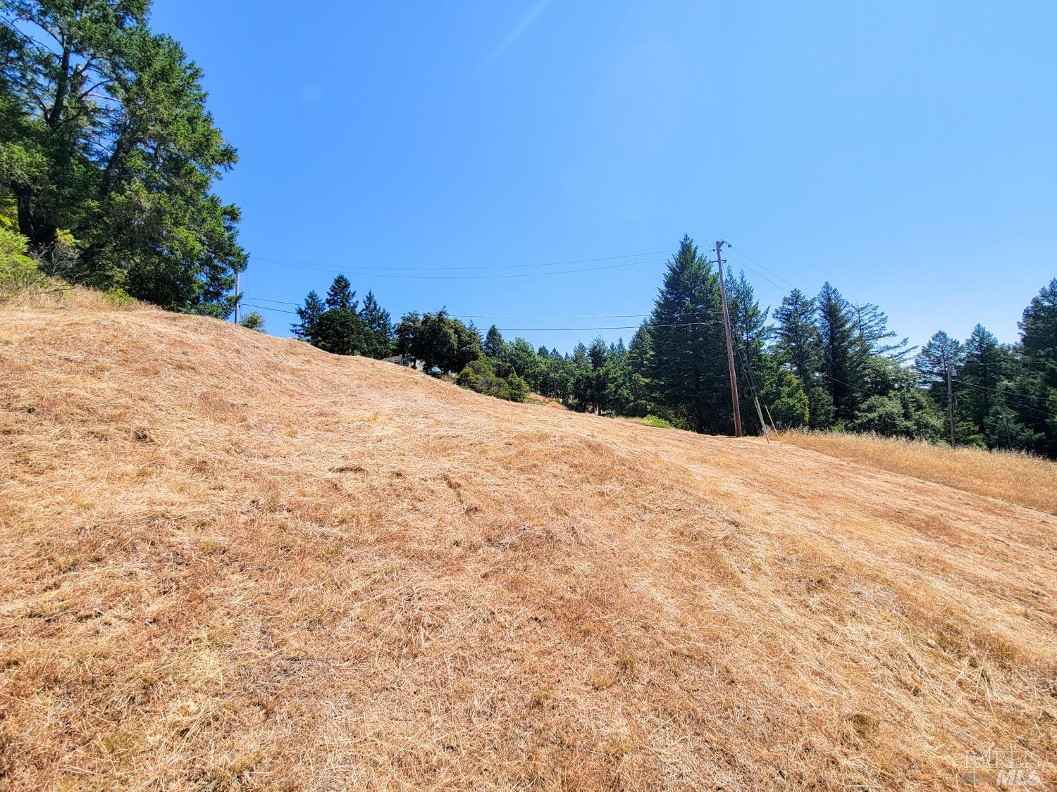 2891 Primrose Drive Willits, CA 95490 - Photo 9 of 15 a view of a backyard of a house