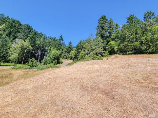 a view of a field with trees in the background