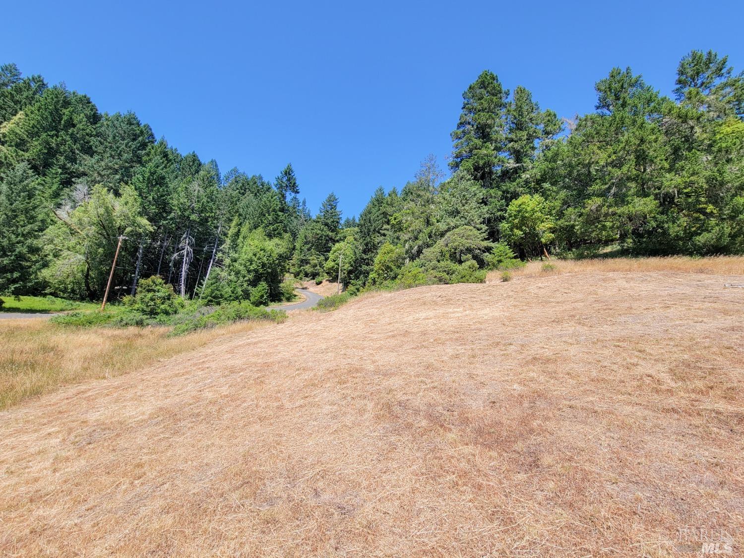 2891 Primrose Drive Willits, CA 95490 - Photo 10 of 15 a view of a field with trees in the background