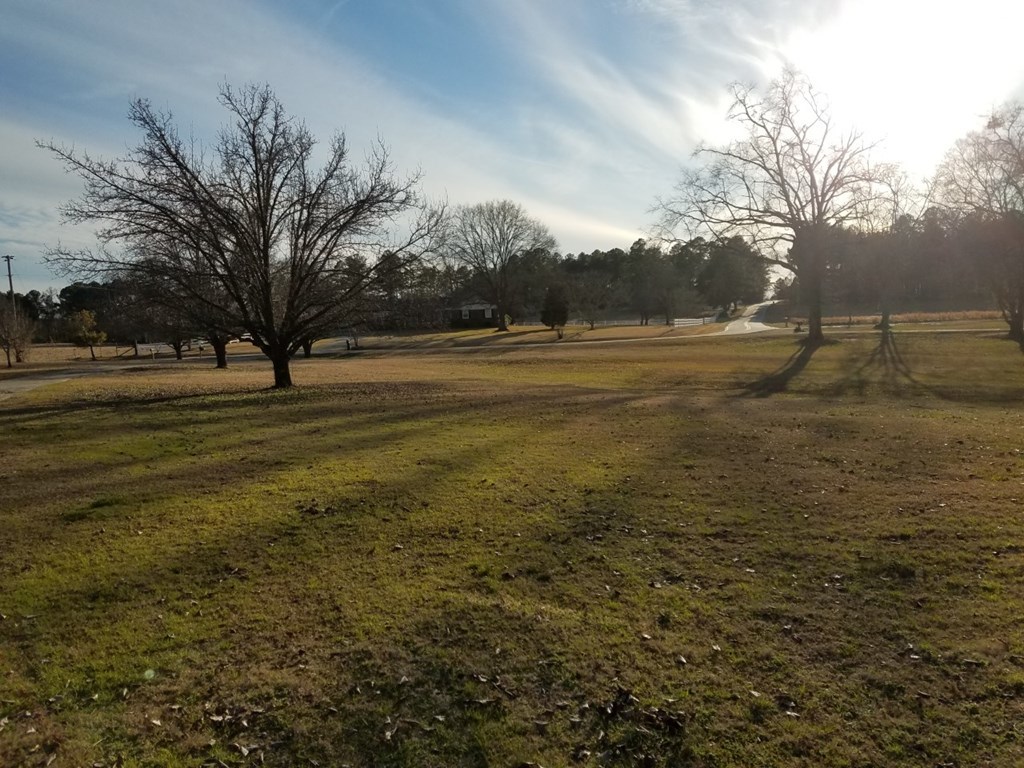 174 Hampton Hills Road Gray, GA 31032 - Photo 24 of 31 a view of grassy field with trees