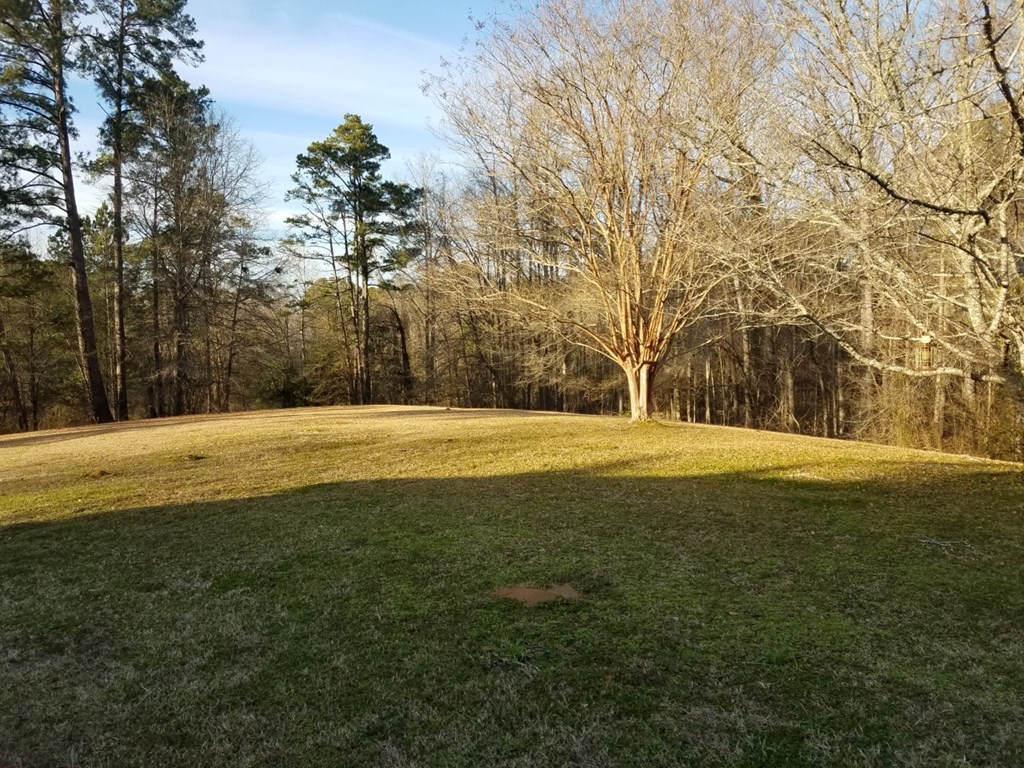 174 Hampton Hills Road Gray, GA 31032 - Photo 26 of 31 a view of road with large trees