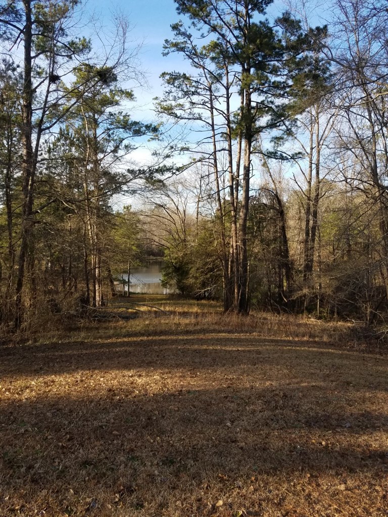 174 Hampton Hills Road Gray, GA 31032 - Photo 31 of 31 a view of dirt yard with large trees