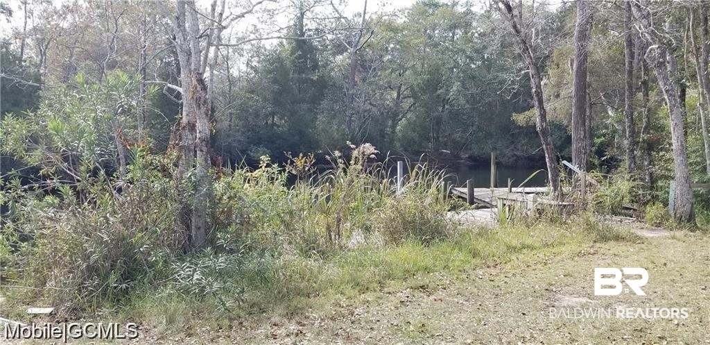 0 Bass Drive Theodore, AL 36582 - Photo 15 of 15
