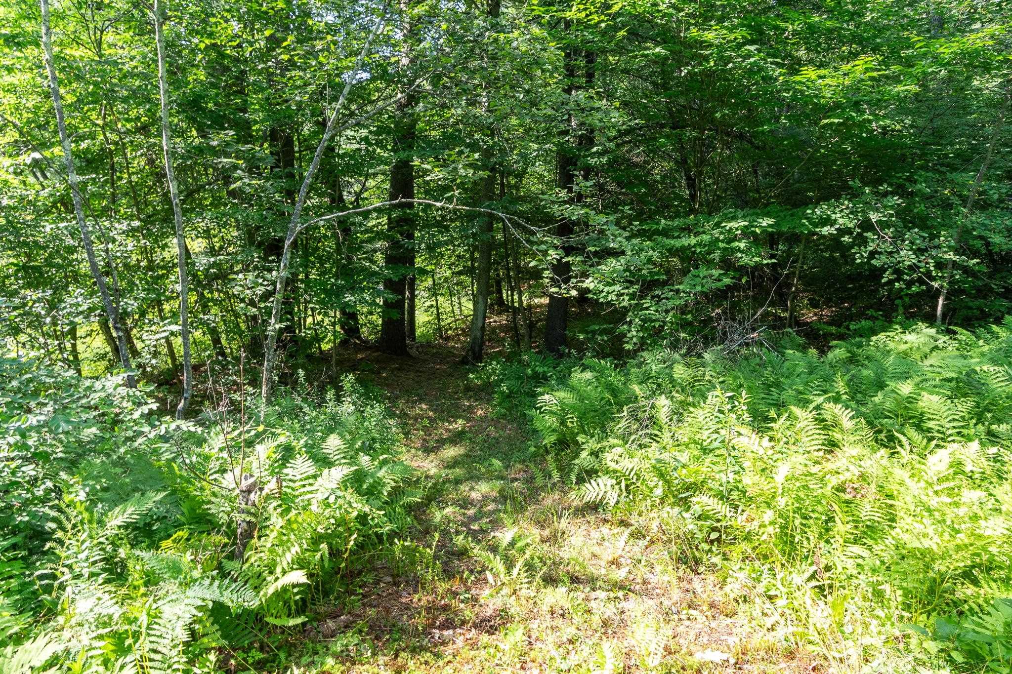 2 West Hill Road Troy, NH 03465 - Photo 46 of 58
