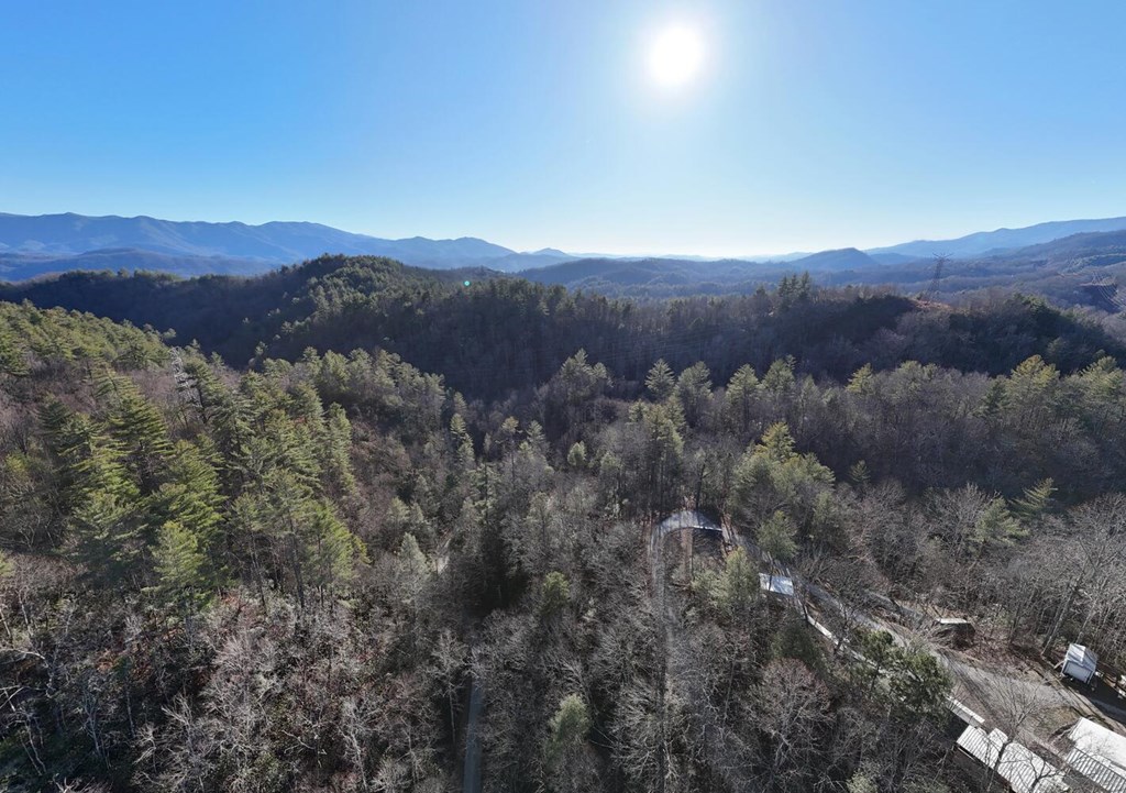 6.83-ac Webb Creek Road Andrews, NC 28901 - Photo 12 of 18