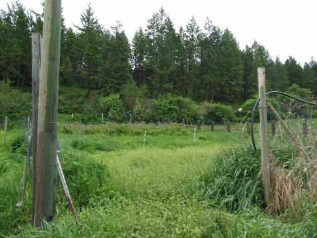 1794 Rickey Canyon Road Rice, WA 99167 - Photo 17 of 19