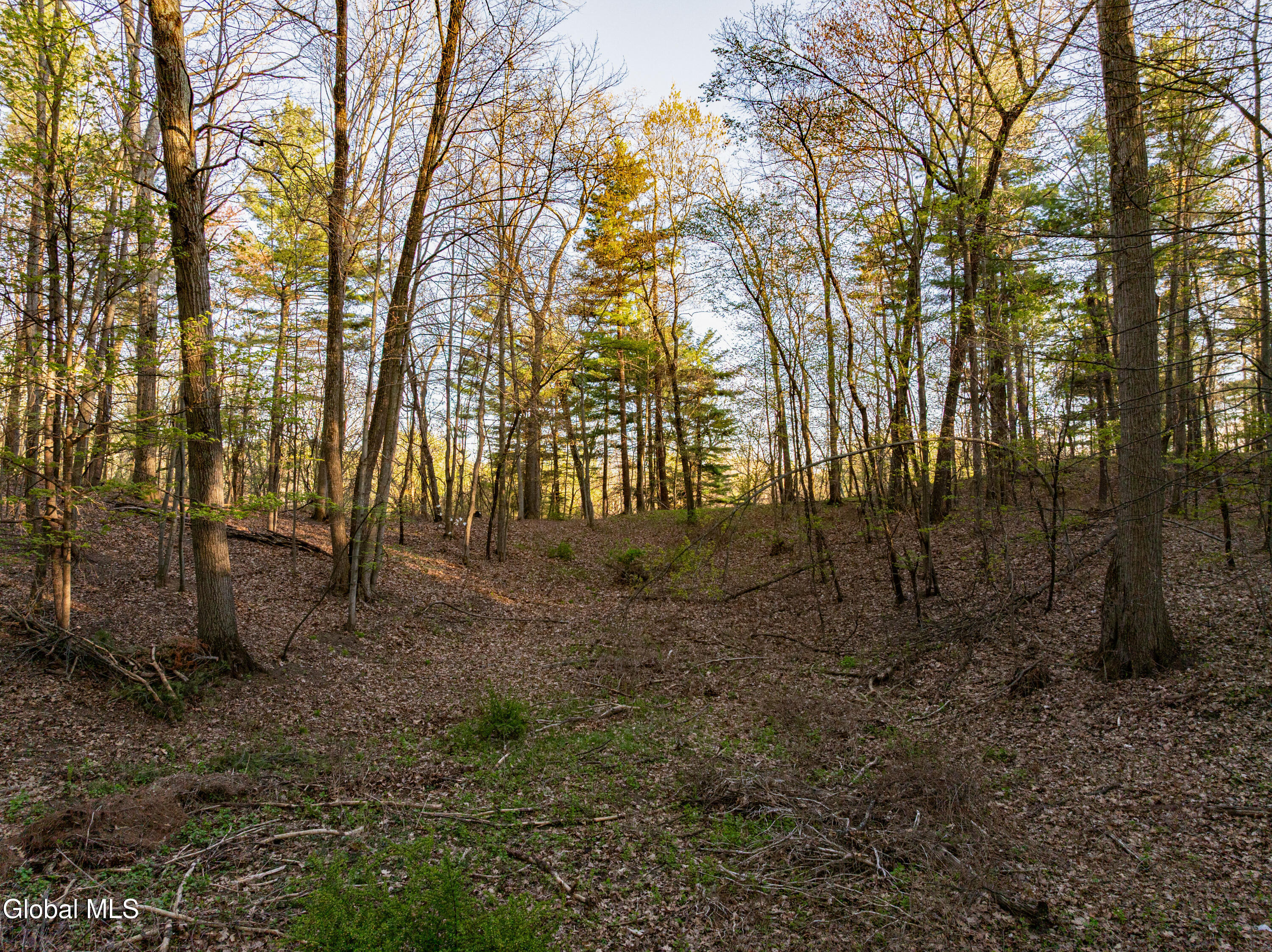 360 Church Road Guilderland, NY 12203 - Photo 12 of 14 350,360,370 Church Rd. x This Old Hudson