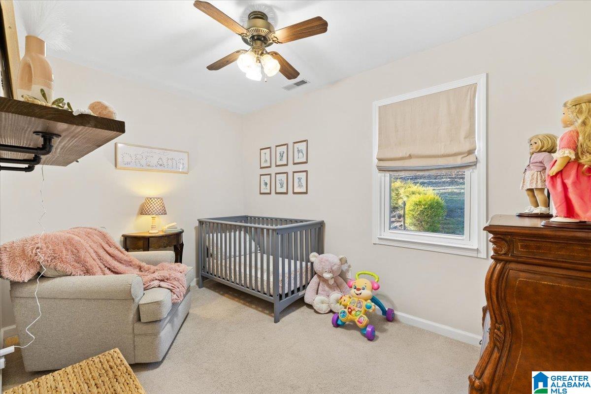 4463 Washington Valley Road Springville, AL 35146 - Photo 28 of 37