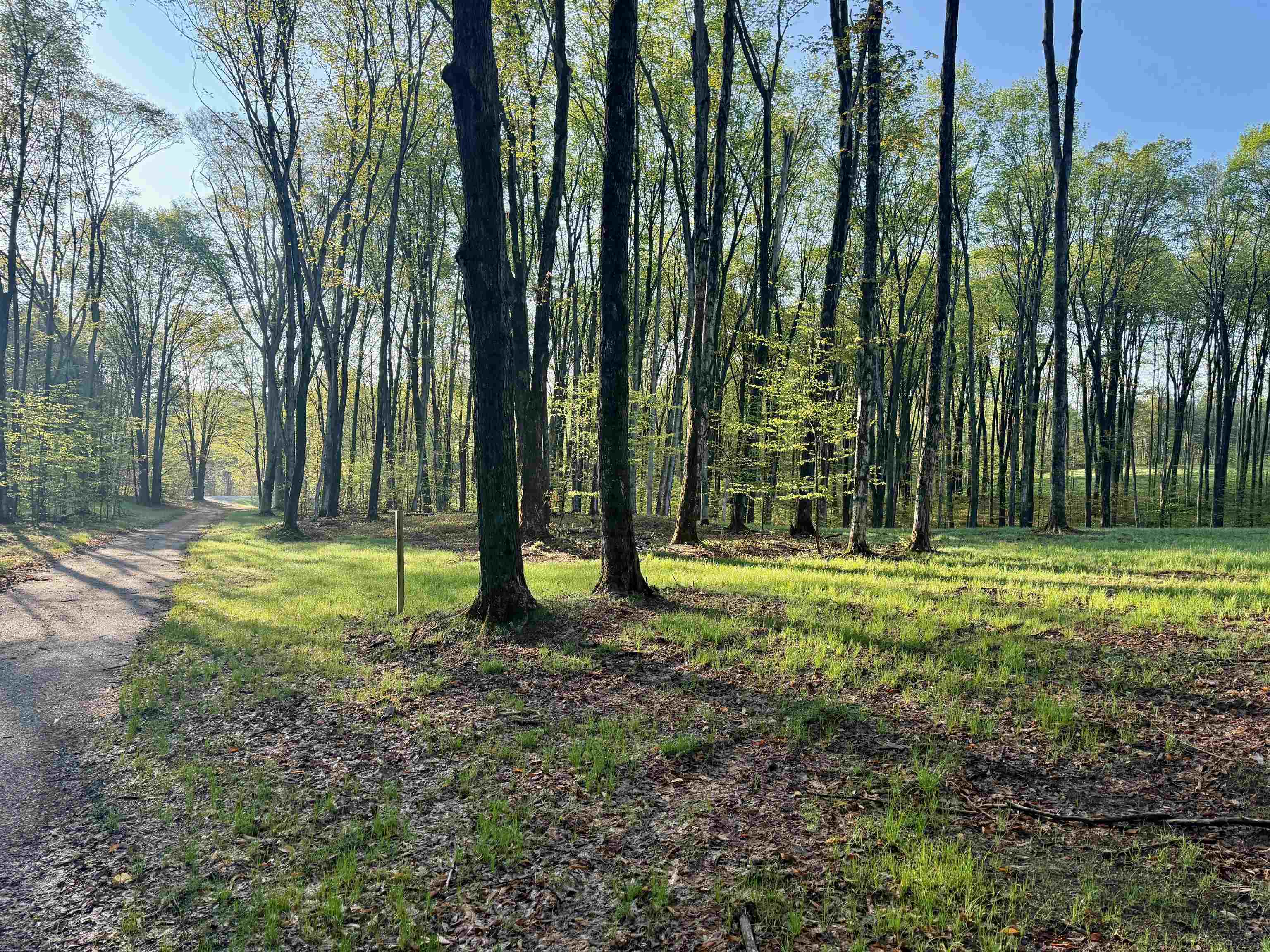 2 South Bright Road, Unit LOT: 2 Maple City, MI 49664 - Photo 5 of 13