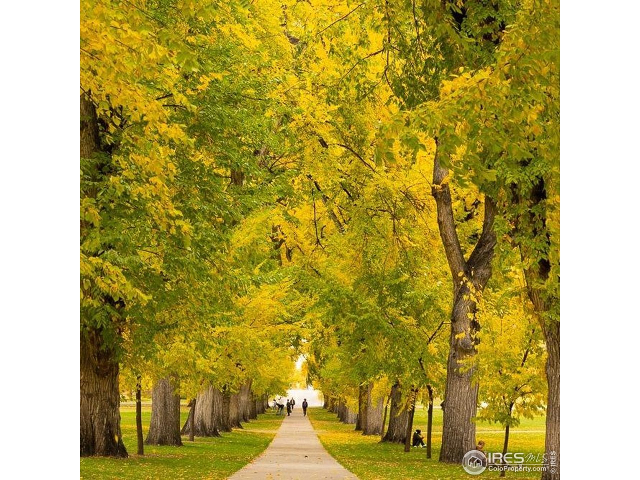 302 North Meldrum Street, Unit 313 Fort Collins, CO 80521 - Photo 33 of 38 a view of swimming pool and outdoor space