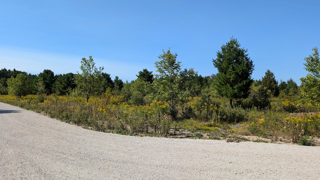 Lot 6 Wandering Down Road Fish Creek, WI 54212 - Photo 5 of 21