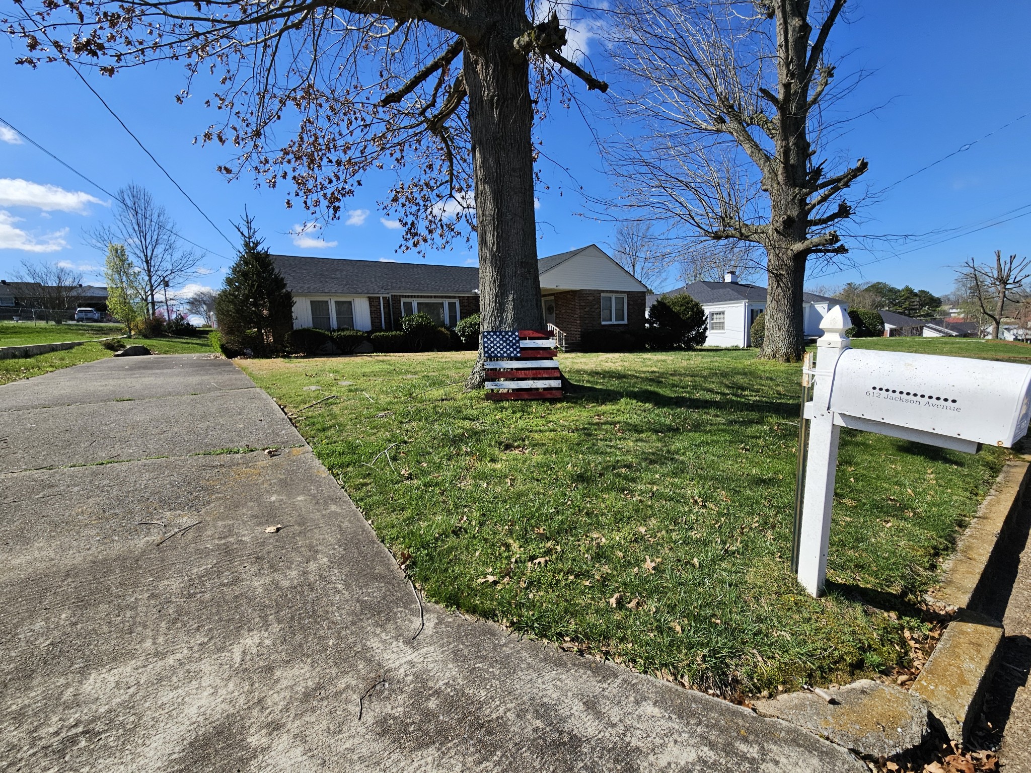 612 Jackson Avenue Carthage, TN 37030 - Photo 7 of 64 a view of a house with backyard and a tree