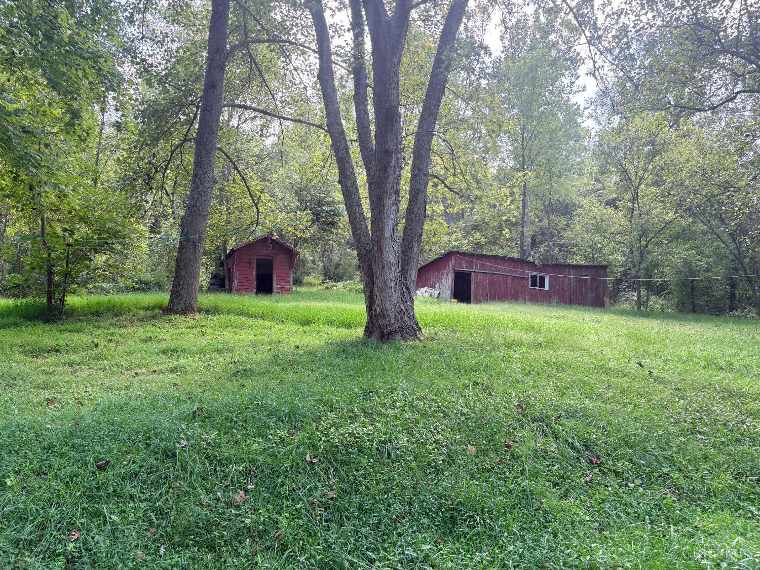 725 Stoney Road Peebles, OH 45660 - Photo 2 of 17 Gallery Image 2