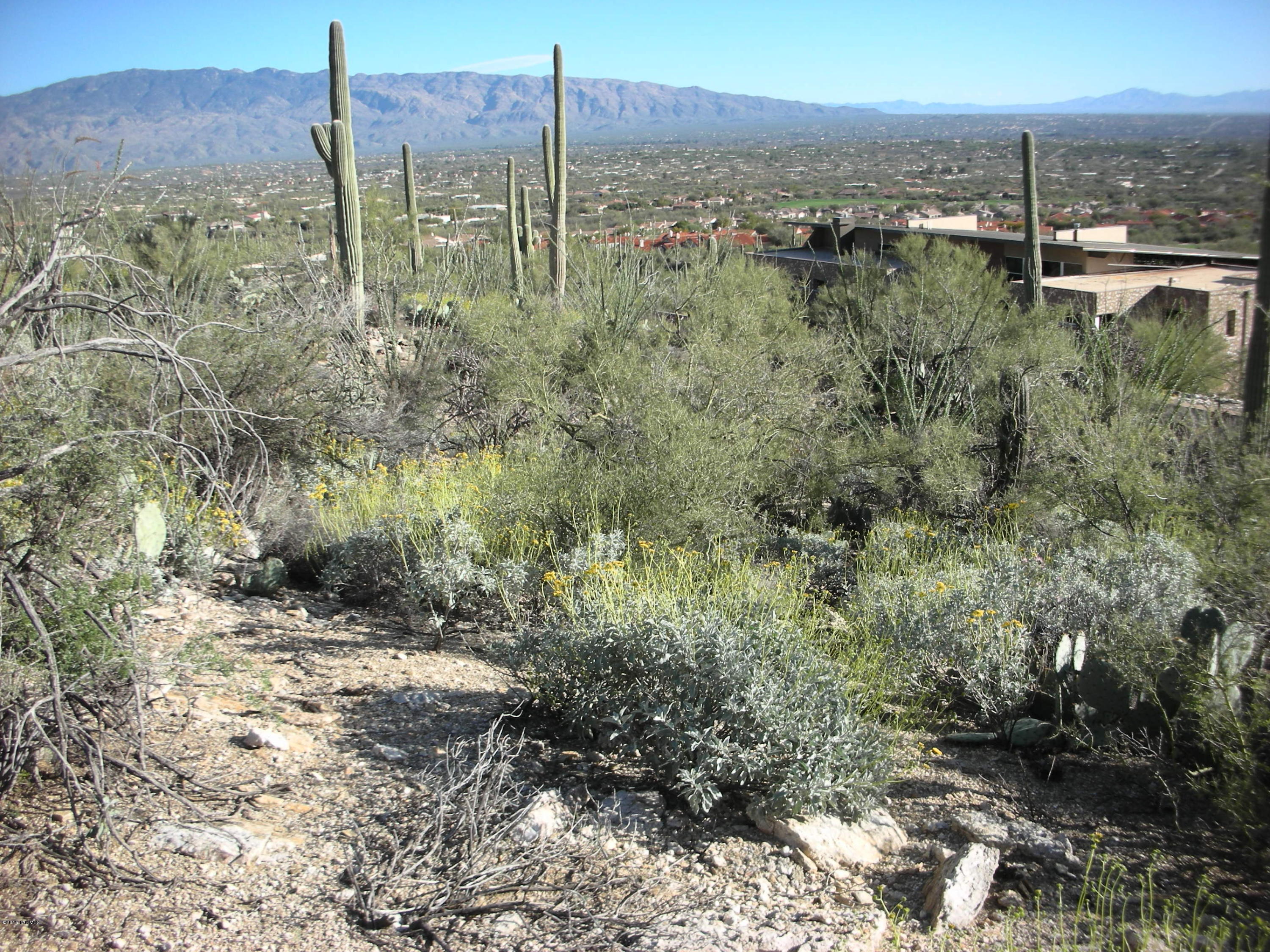West Rhyolite Loop Tucson, AZ 85745 - Photo 7 of 12
