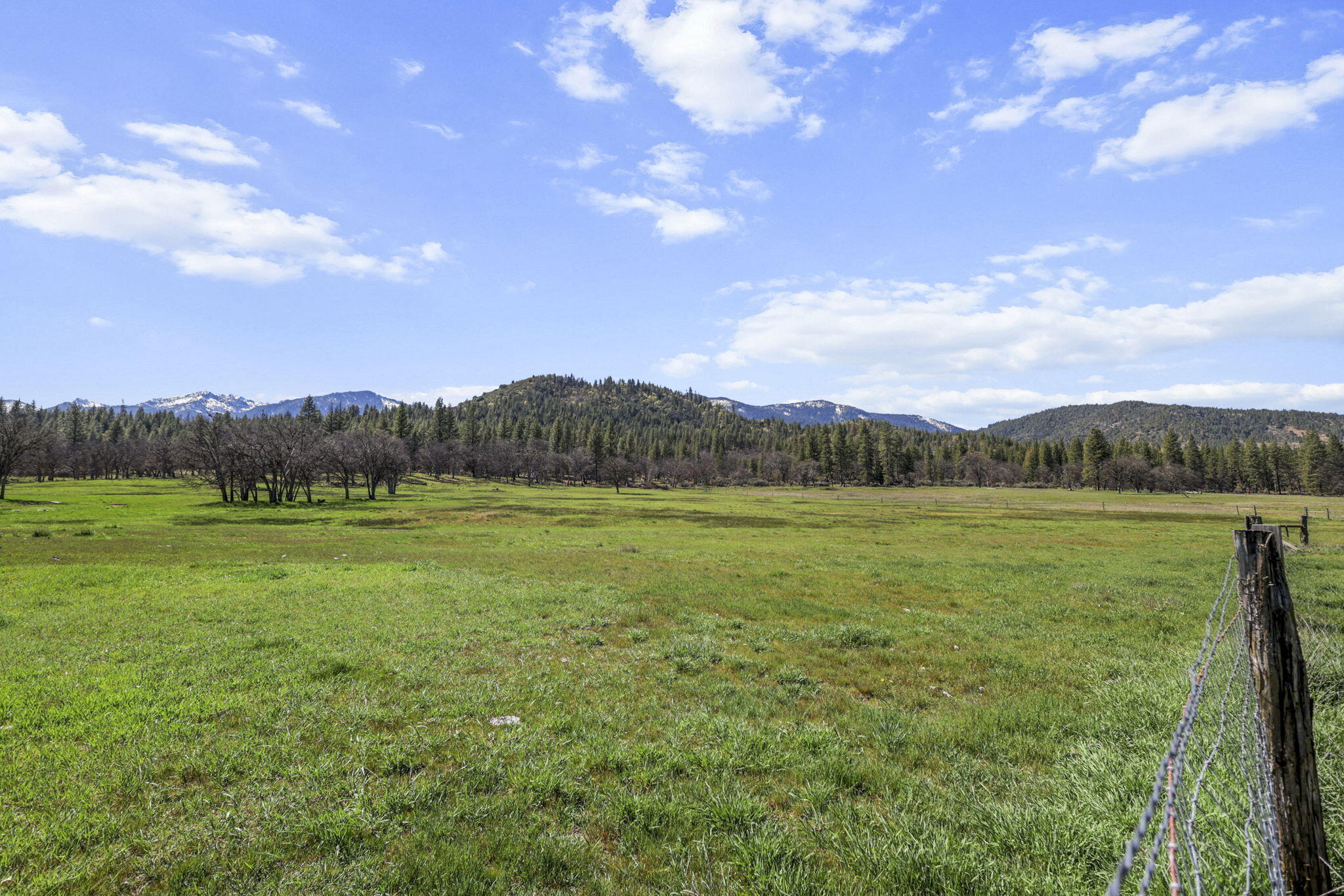 7530 Miners Creek Road Etna, CA 96027 - Photo 88 of 122 87-web-or-mls-LZ0A0647