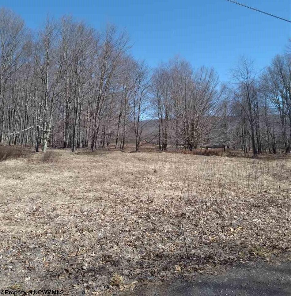 22 Deer Ridge Road Davis, WV 26260 - Photo 2 of 5 Gallery Image 2