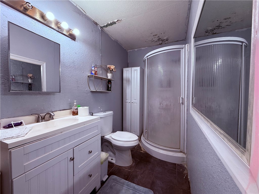 5742 Hidden Valley Loop Sandia, TX 78383 - Photo 16 of 32 a bathroom with a sink a toilet a shower and a mirror