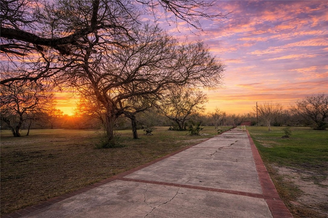 5742 Hidden Valley Loop Sandia, TX 78383 - Photo 2 of 32 a view of an outdoor space with deck and trees