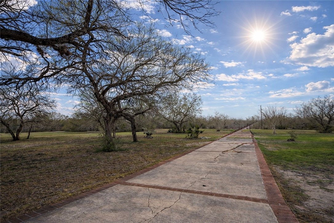 5742 Hidden Valley Loop Sandia, TX 78383 - Photo 30 of 32 a view of road with view of trees