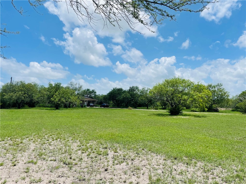 5742 Hidden Valley Loop Sandia, TX 78383 - Photo 5 of 32 a view of a field with an trees in the background