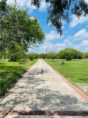 a view of a park with large trees