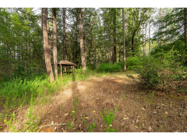 $539,000 | 5925 Cow Creek Road, Riddle, OR 97469