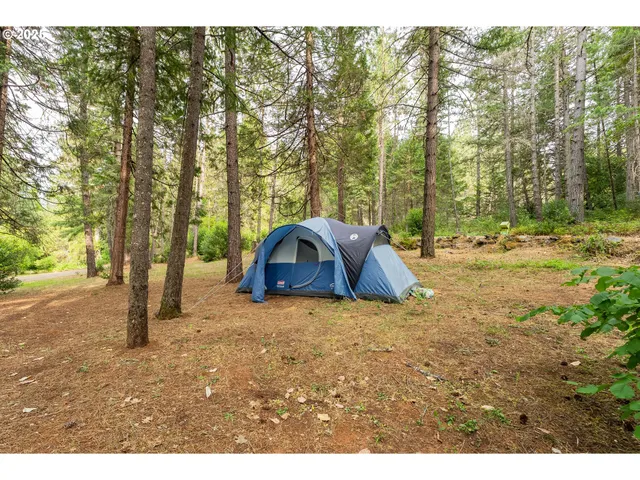 $539,000 | 5925 Cow Creek Road, Riddle, OR 97469